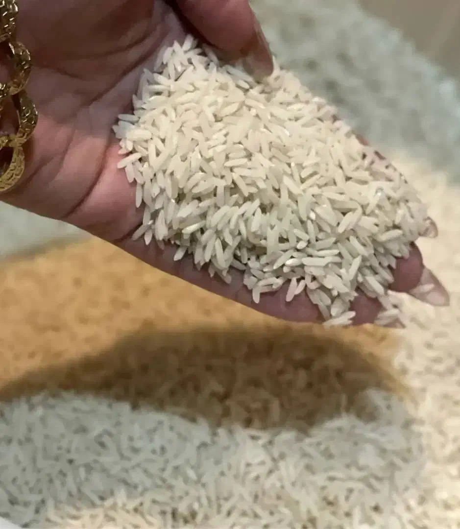 برنج وزعفران|عمدهفروشی|شیراز, آزادی|دیوار