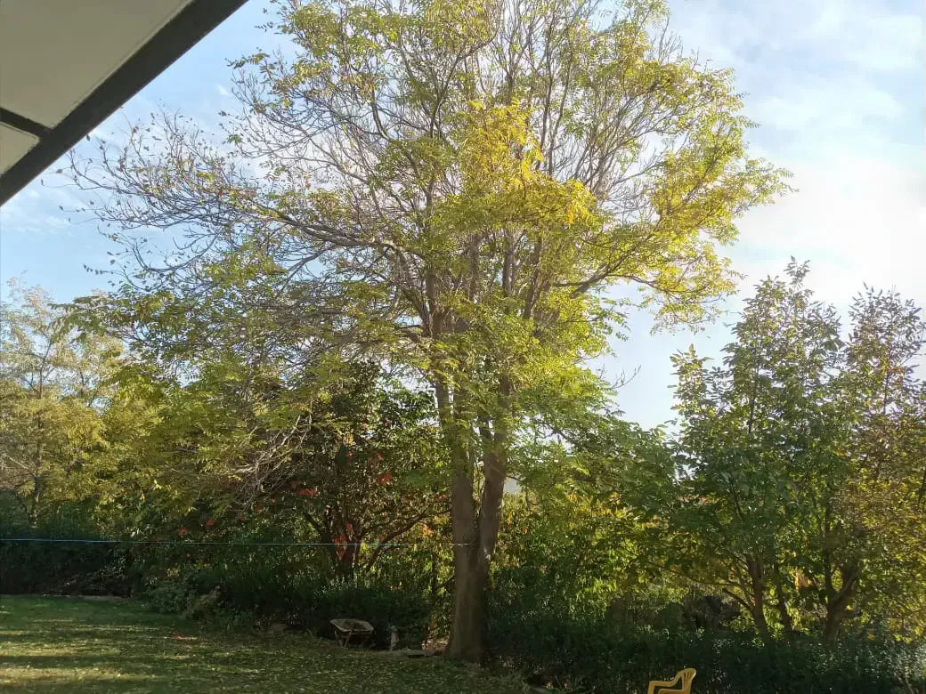 ویلا.فروشی.۱۴۰۰متر.دهکده|فروش خانه و ویلا|فردیس, دهکده|دیوار