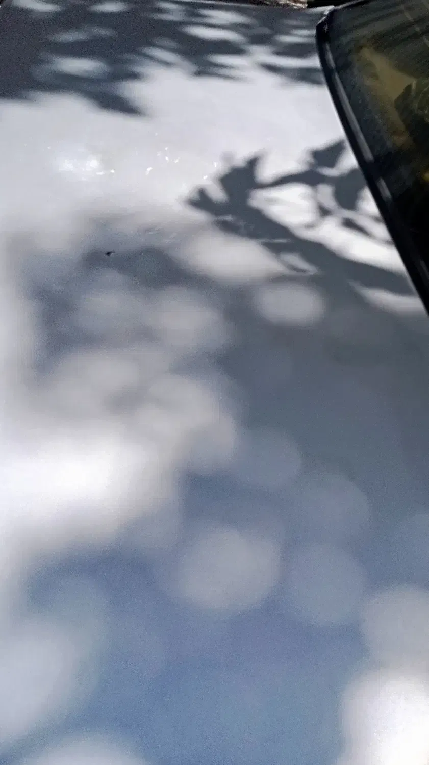 405 دوگانه مدل 95|خودرو سواری و وانت|جوانرود, |دیوار