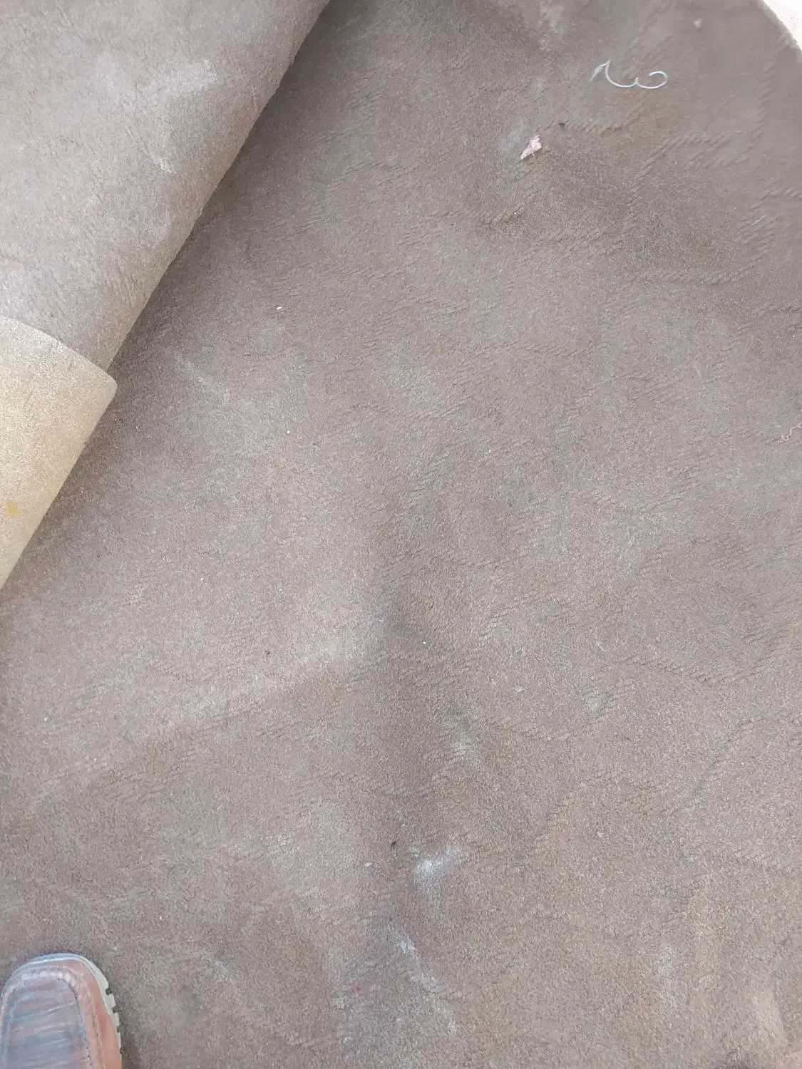 موکت|موکت|تبریز, |دیوار