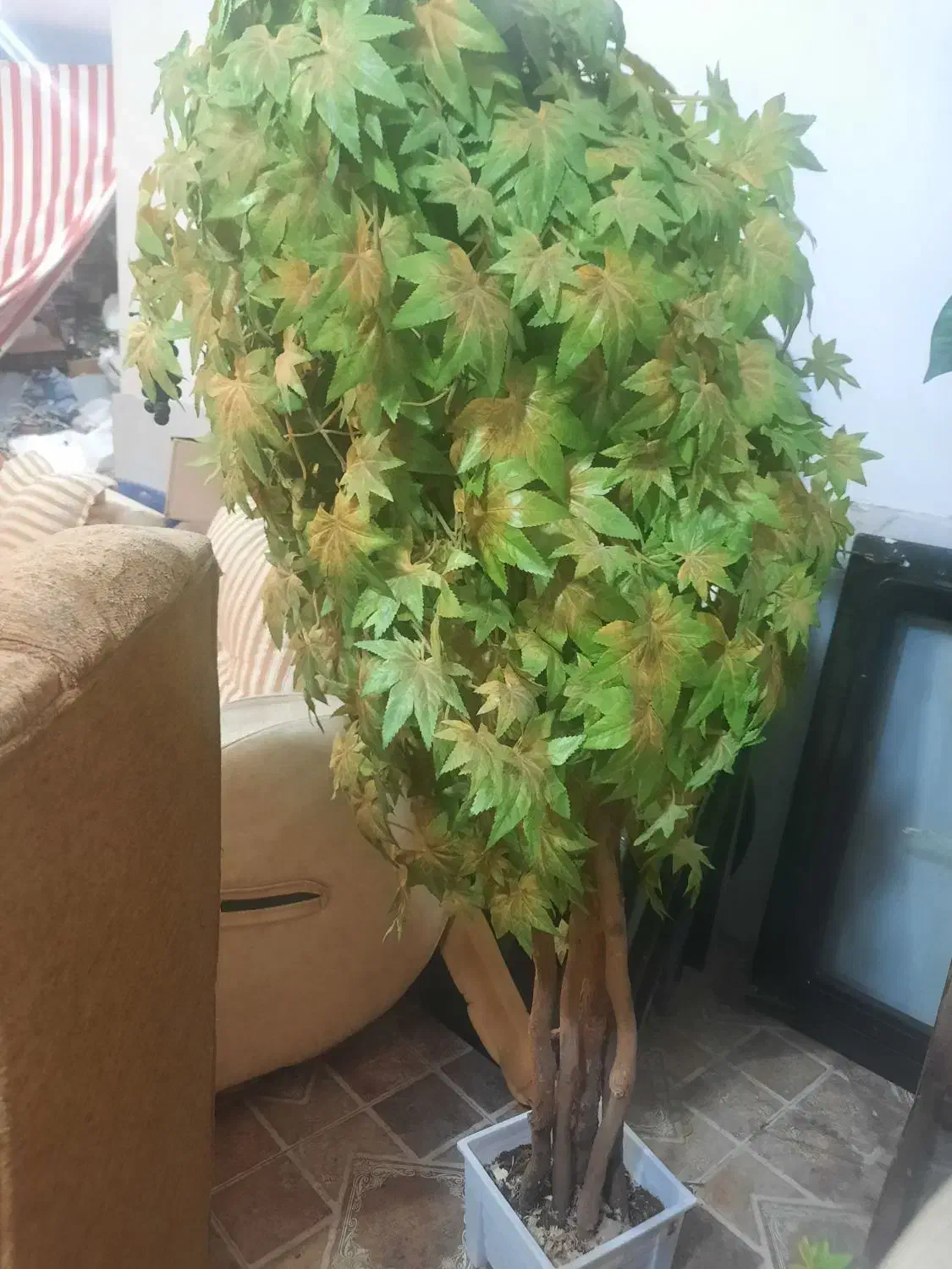 درختچه|گل مصنوعی|بندر ماهشهر, |دیوار