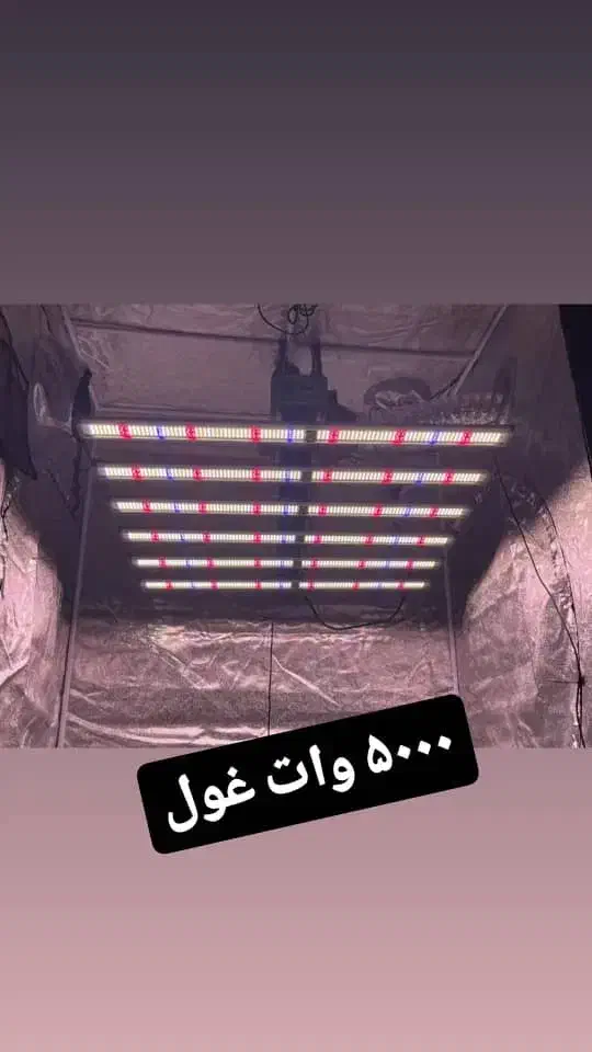 چراغ رشد گیاه.فیلتر کربن.خاک سوپر سویل.انواع کود|گل و گیاه طبیعی|تهران, تهرانپارس غربی|دیوار