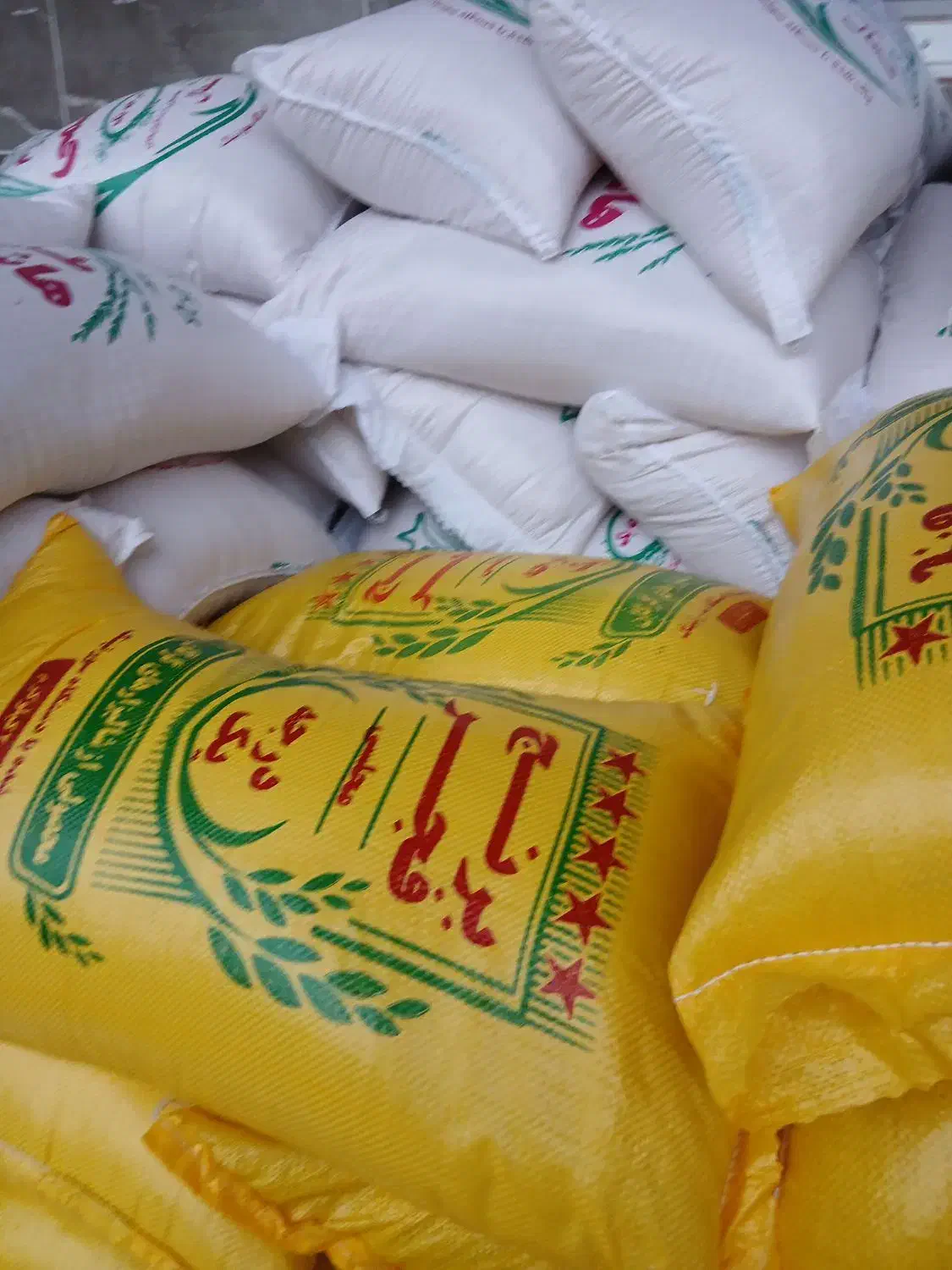 سورت شده فجر سوزنی ۱۷۱و هاشمی ۲۵۳ و لاشه ۱۷۲ت|خوردنی و آشامیدنی|بابکان, |دیوار