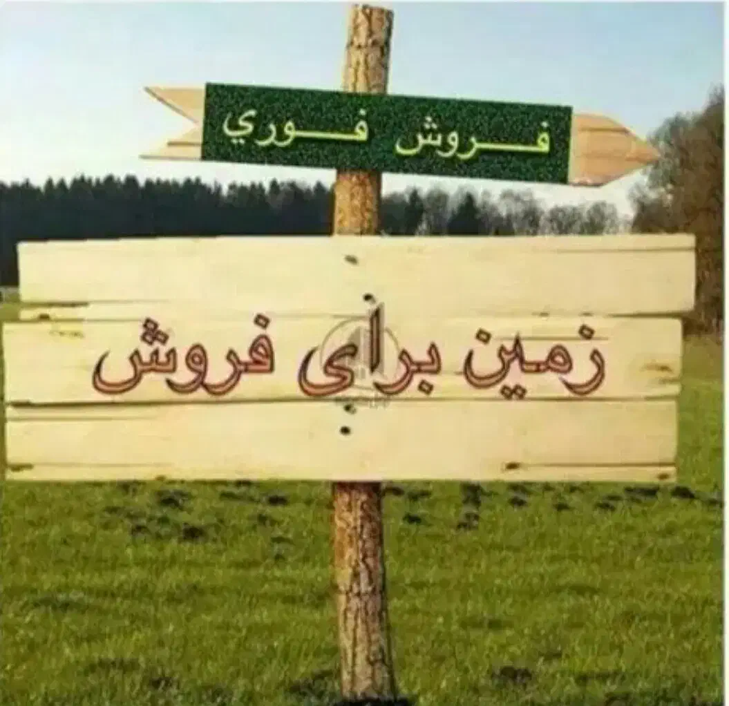 فروش زمین لنگرود (قیمت توافقی(|فروش زمین و ملک کلنگی|قنوات, |دیوار