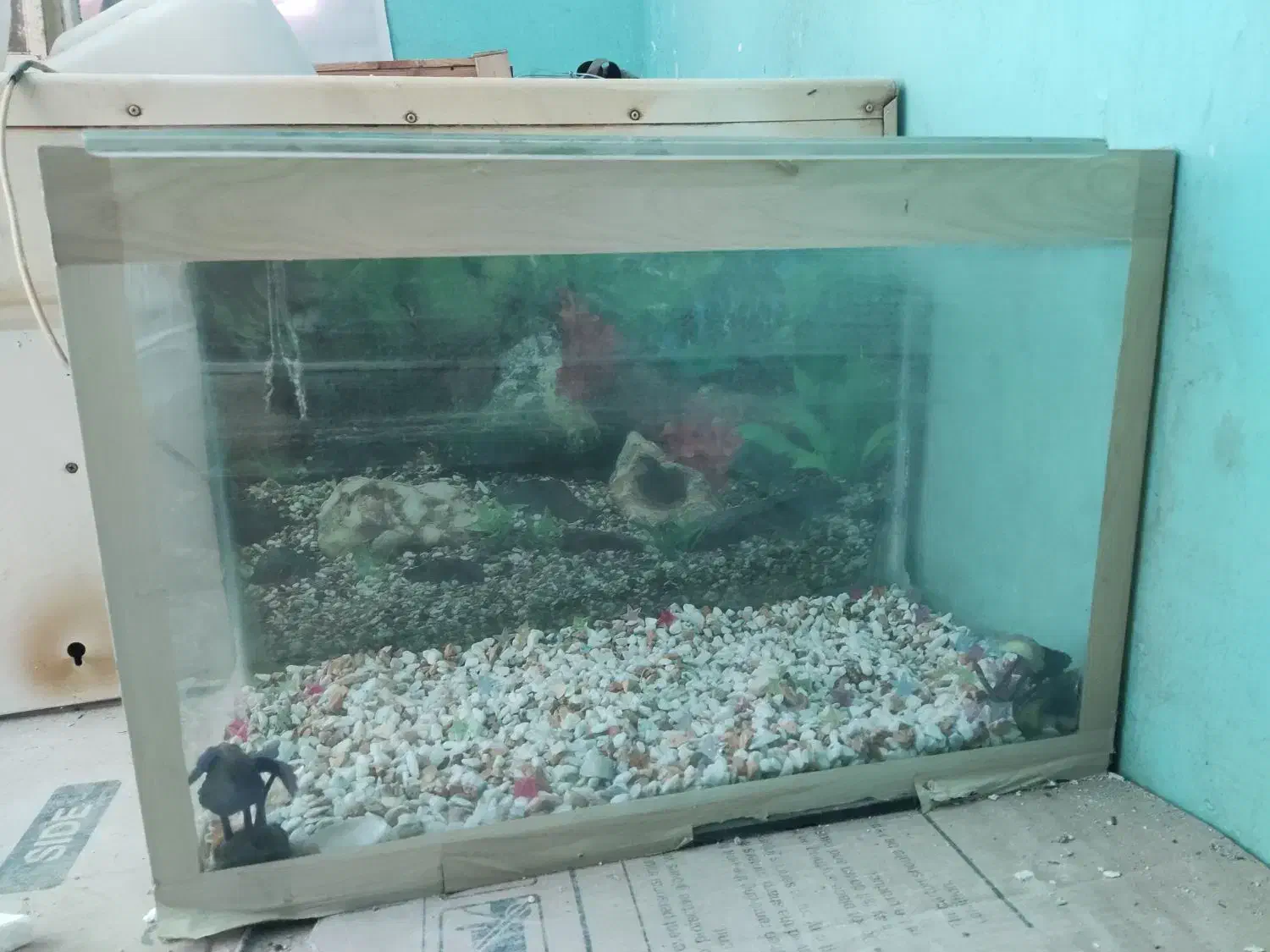 اکواریوم با پمپ هوا نو و سالم|ماهی|مسجد سلیمان, |دیوار