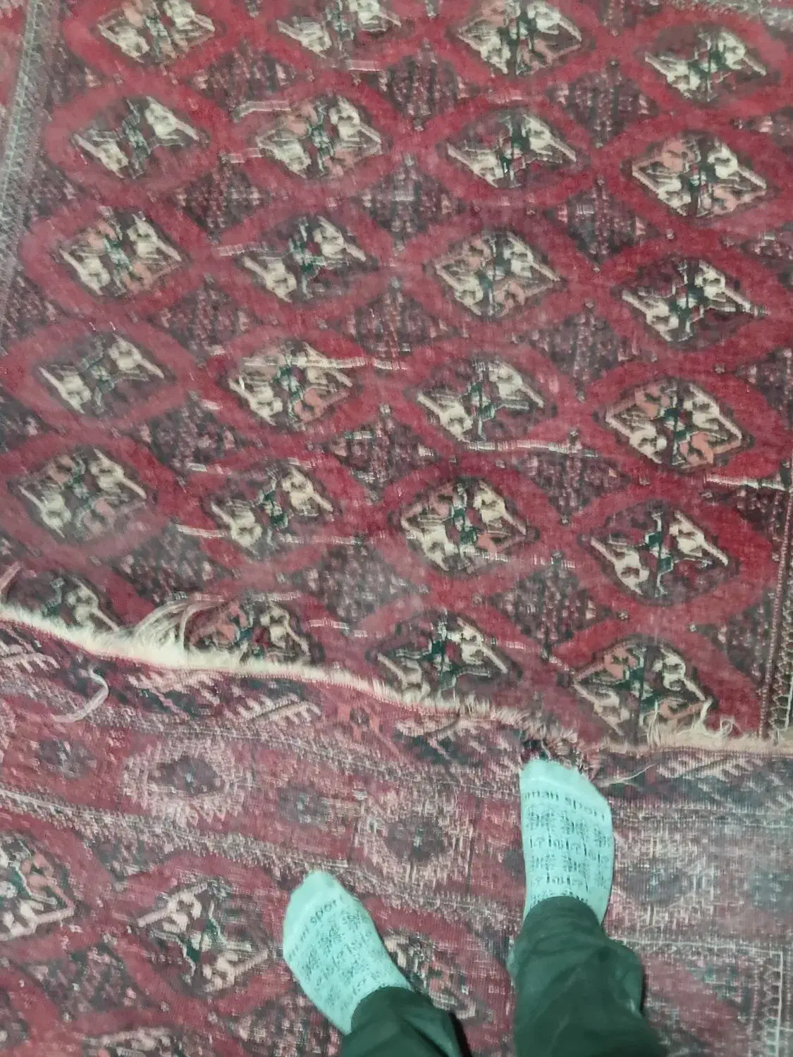 فرش دستبافت ۶متری|فرش|گرگان, |دیوار