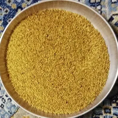 بذر یونجه درجه یک|عمدهفروشی|شیراز, نصر|دیوار