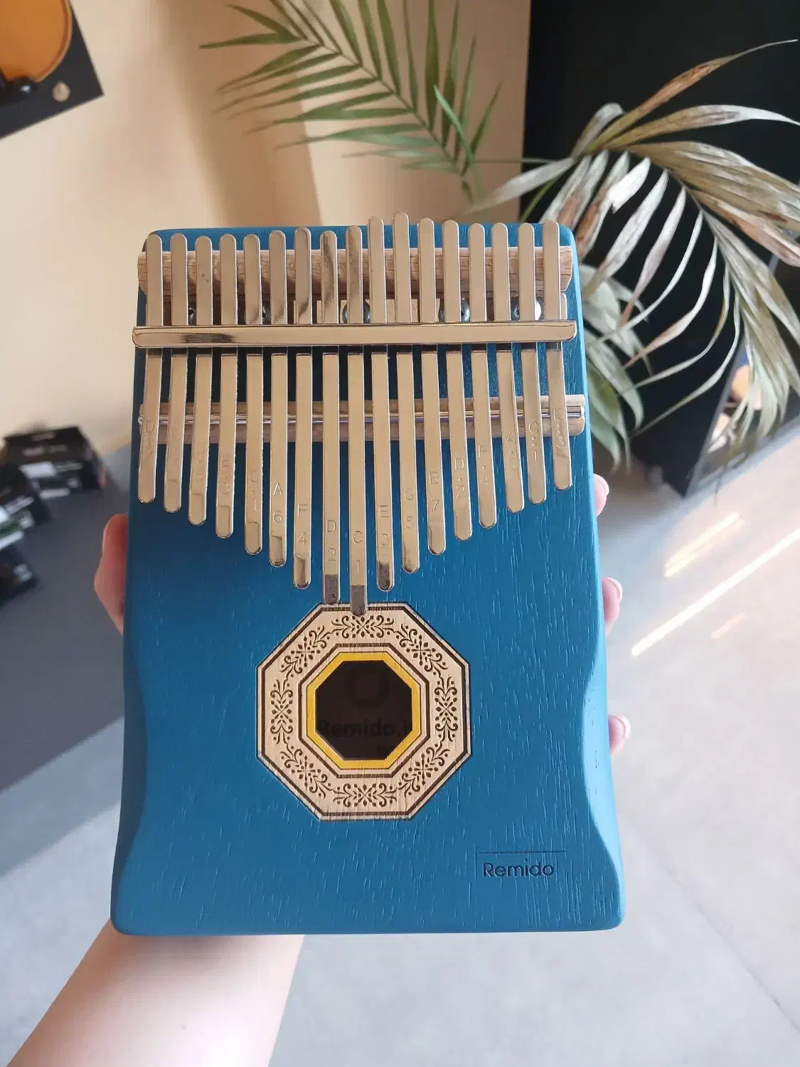 کالیمبا رمیدو|پیانو، کیبورد، آکاردئون|قزوین, |دیوار