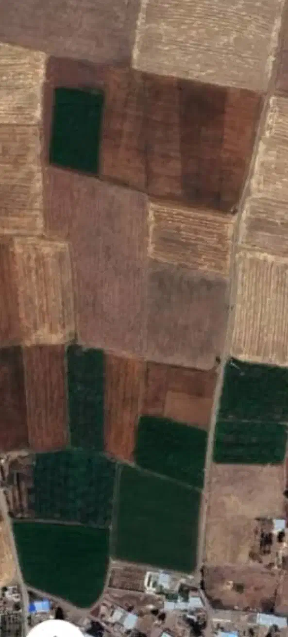 زمین کشاورزی مرغوب|فروش زمین و ملک کلنگی|هیر, |دیوار