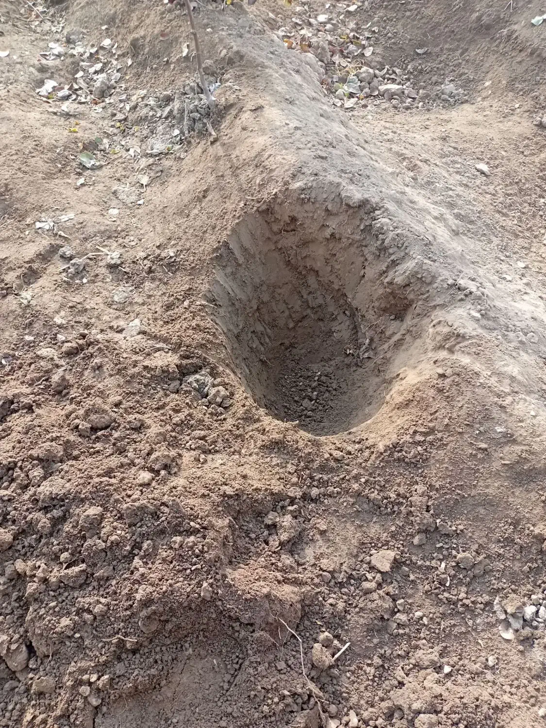 باغبان|خدمات باغبانی و درختکاری|تبریز, |دیوار