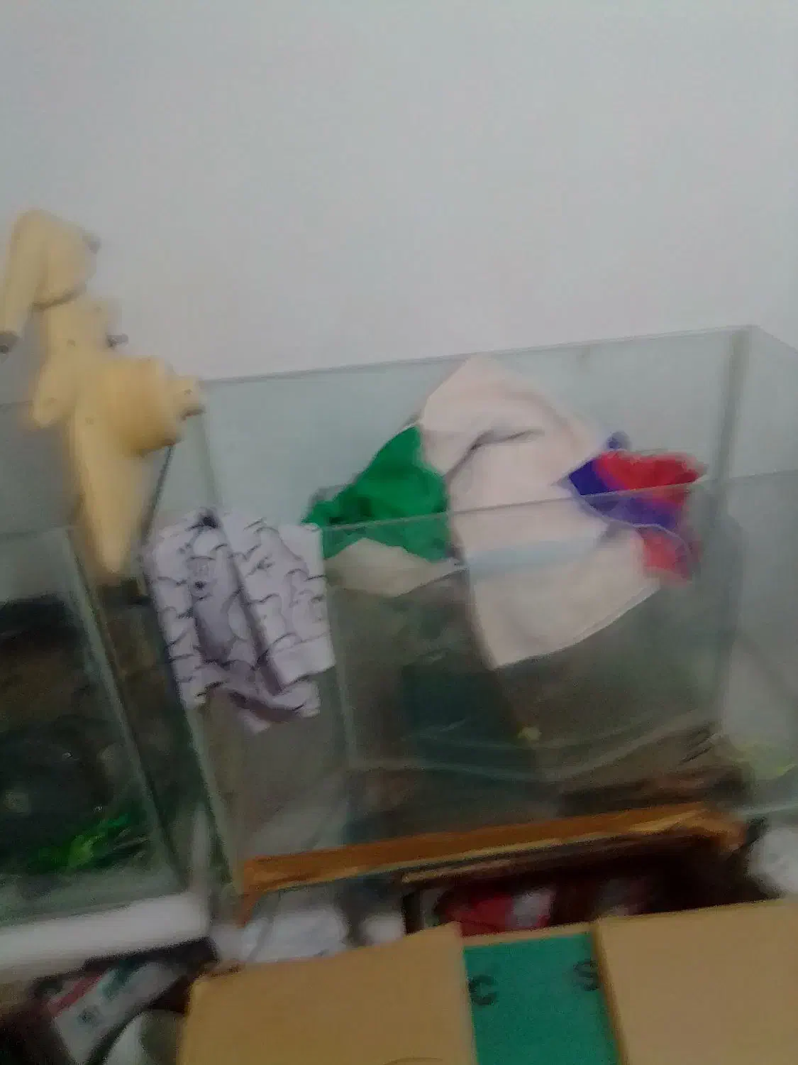 دو عدد آکواریوم بزرگ مخصوص مغازه ومنزل ومحل کار|ماهی|بومهن, |دیوار