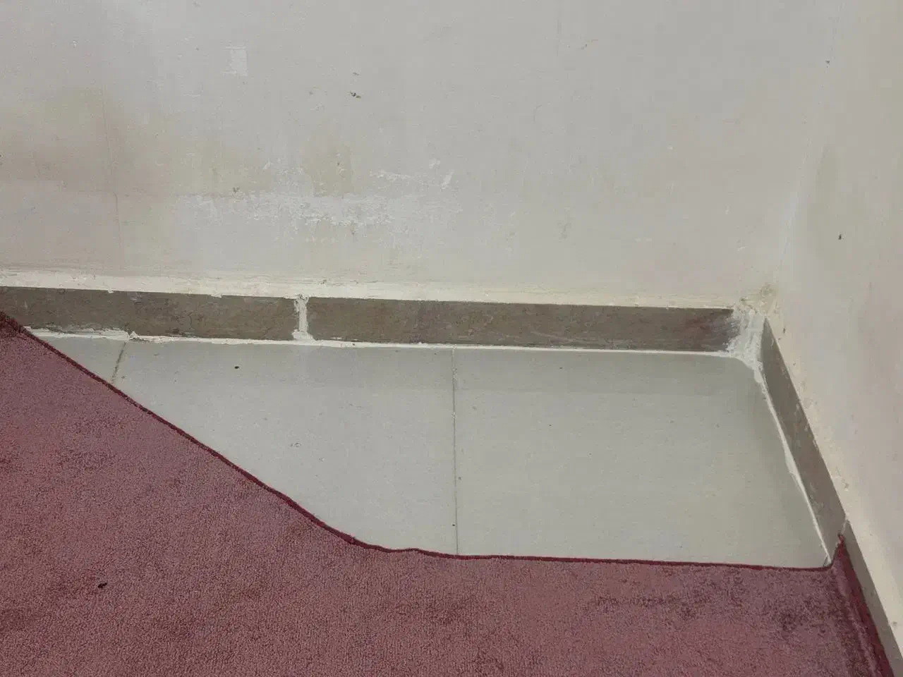 پالاز موکت|موکت|بندر ماهشهر, |دیوار