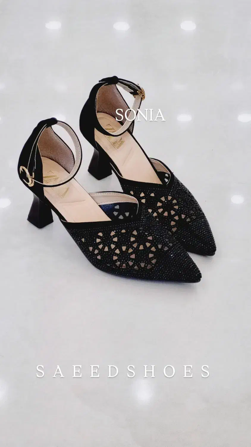 مدل SONIA|کیف، کفش، کمربند|قم, باغ شریفی|دیوار