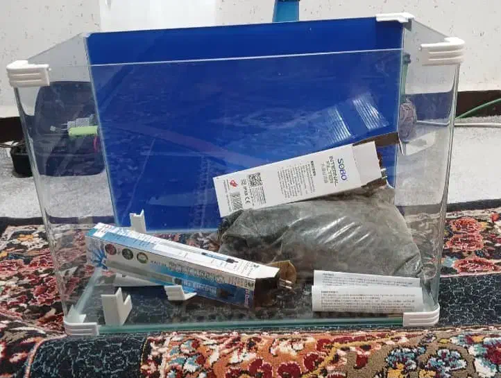 آکواریم|ماهی|بهبهان, |دیوار