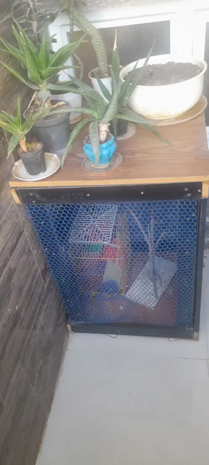 معاوضه|لوازم جانبی حیوانات|شیراز, شهرک گلستان|دیوار