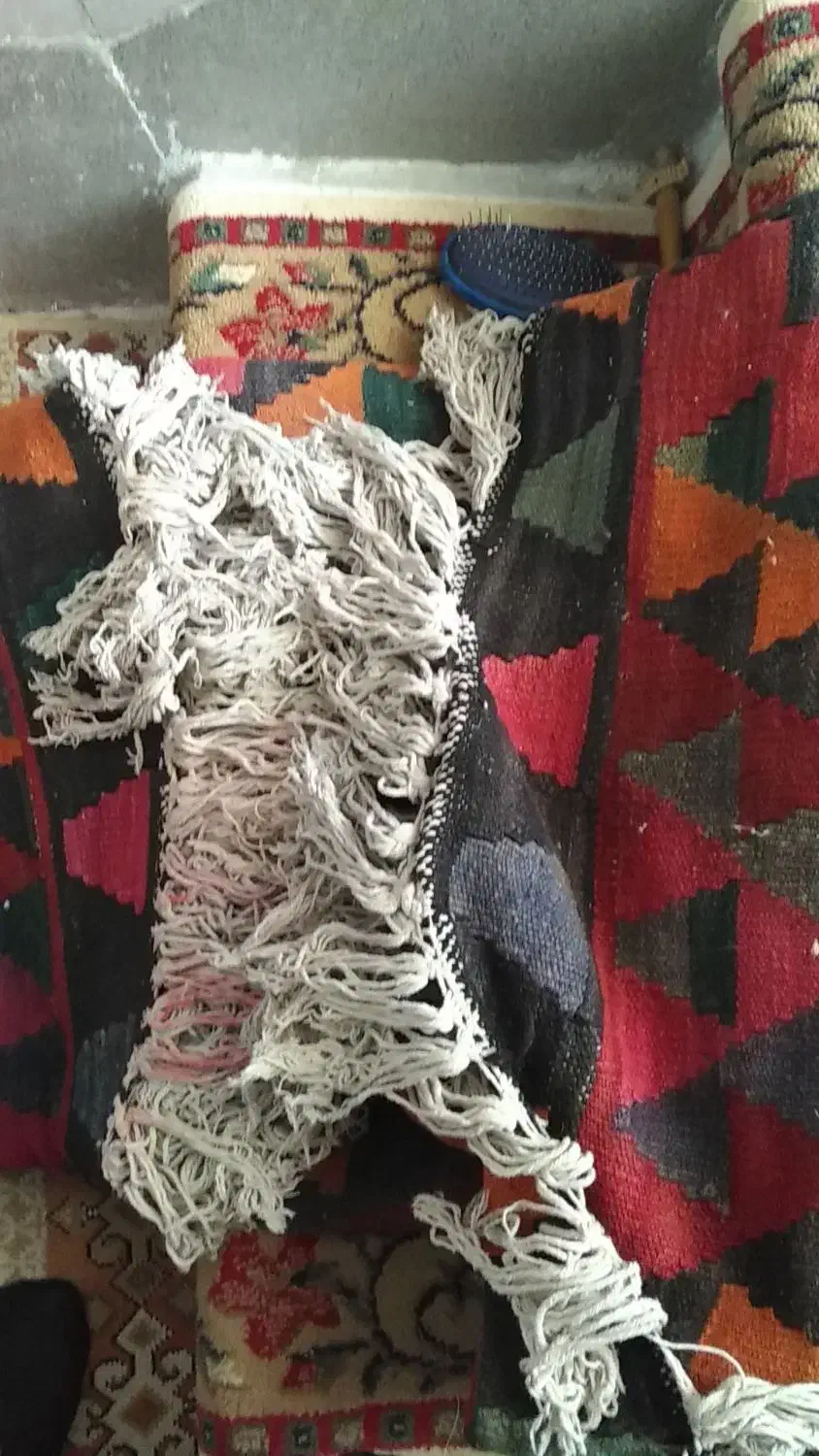گلیم فرش عتیقه پشم شتر سالم|گلیم، جاجیم، گبه|قم, بنیاد|دیوار
