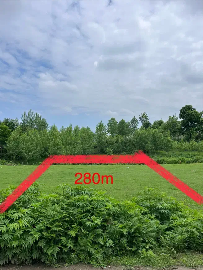 ۲۸۰ متر فومن سند دار|فروش زمین و ملک کلنگی|فومن, |دیوار