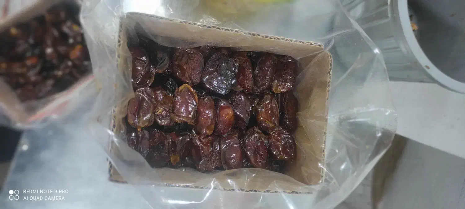 نیرو خرما پاکن|استخدام صنعتی، فنی، مهندسی|برازجان, |دیوار