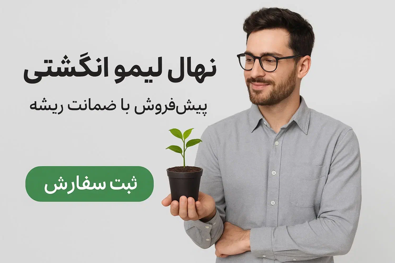 فروش لیمو انگشتی تضمینی سالم|گل و گیاه طبیعی|رضوانشهر, |دیوار