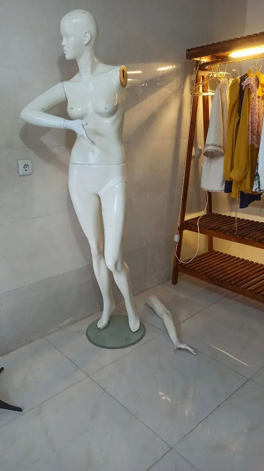 رگال و پیشخوان ویترینی|فروشگاه و مغازه|رودان, |دیوار