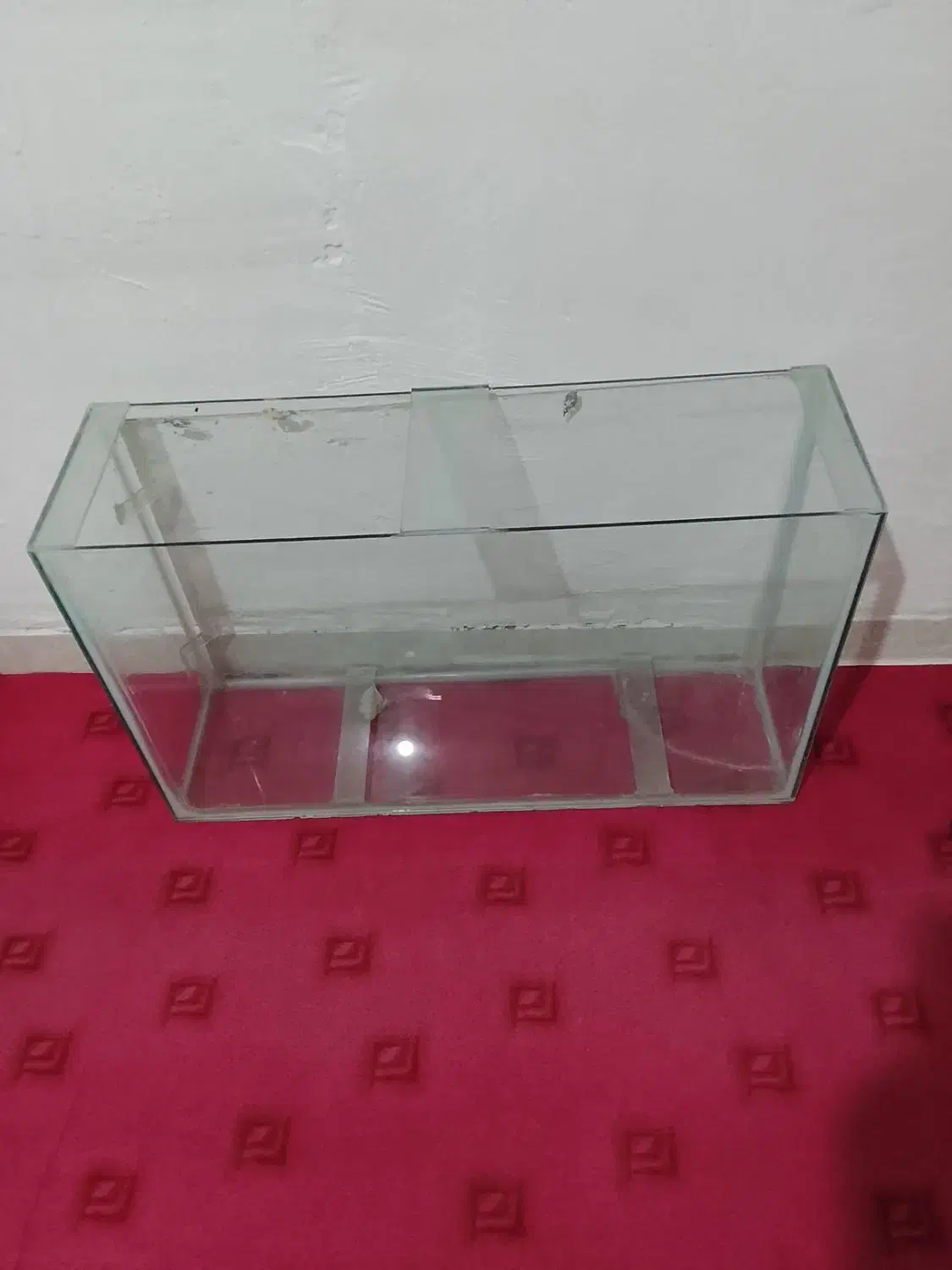 آکواریوم|ماهی|خرمآباد, |دیوار