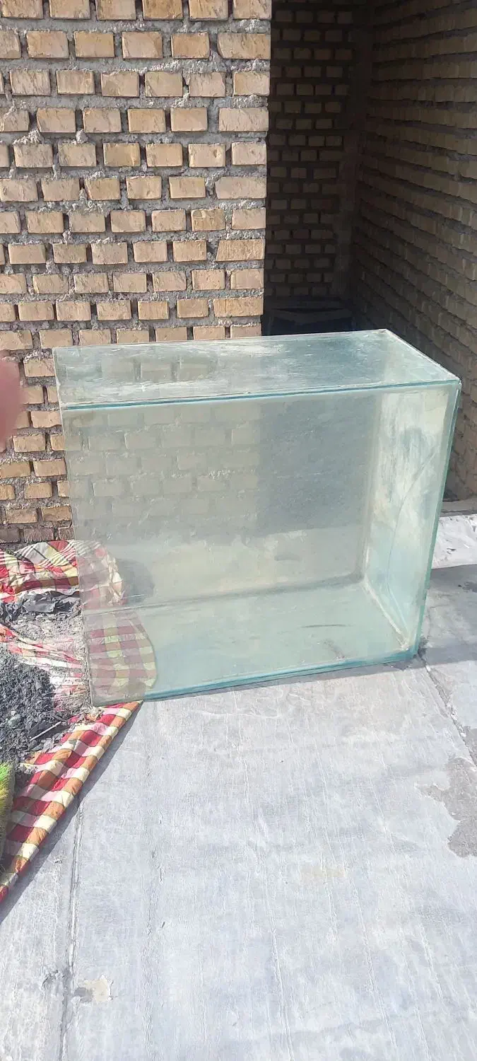 اکواریوم|ماهی|رامهرمز, |دیوار