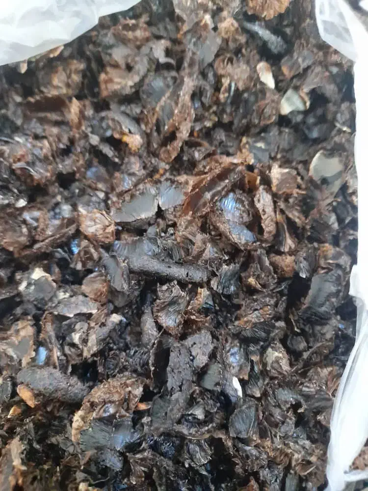 مغز لیمو|خوردنی و آشامیدنی|منوجان, |دیوار