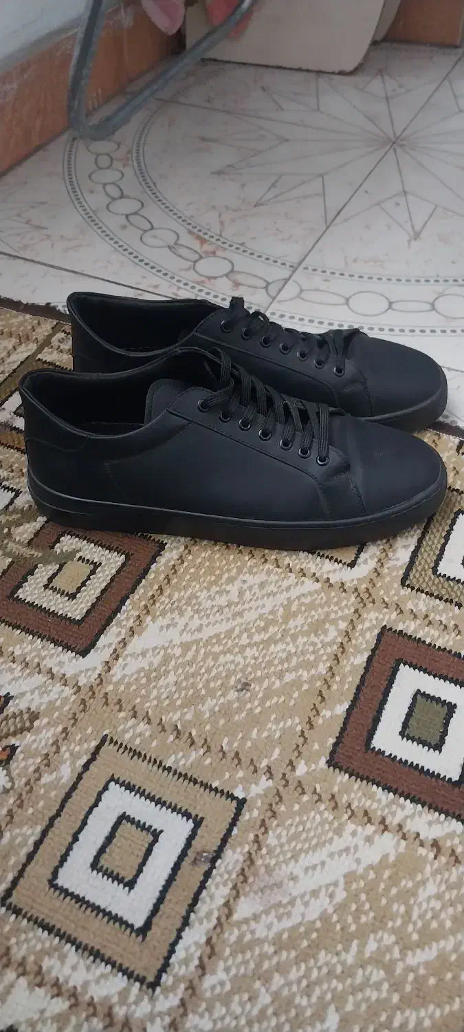 کفش|کیف، کفش، کمربند|رشت, فلسطین|دیوار