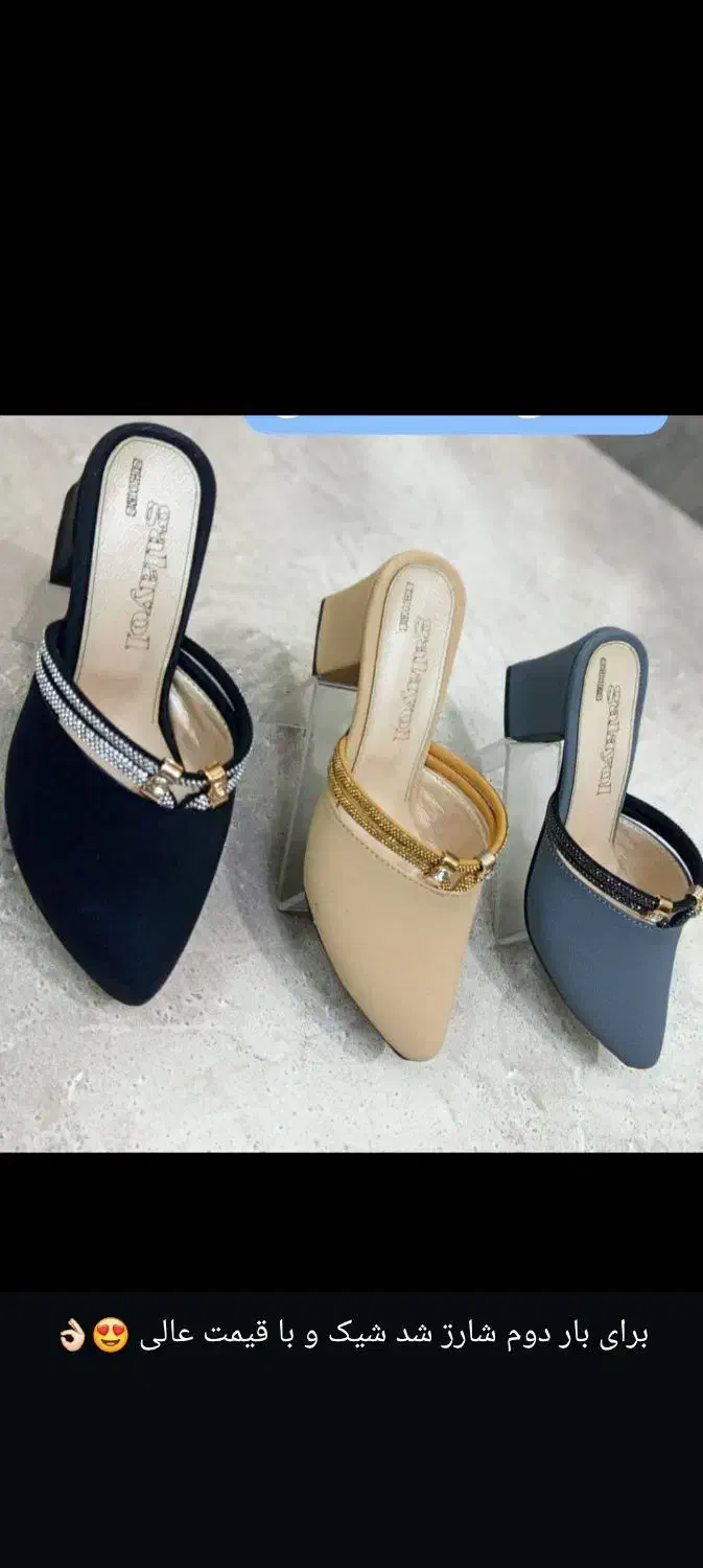 انواع کفش مجلسی وبیرونی وکفش دمپای مجلسی|کیف، کفش، کمربند|شوشتر, |دیوار