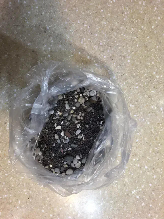 ظرف تراریوم گیاه و ماهی|ماهی|شیراز, دروازه قران|دیوار