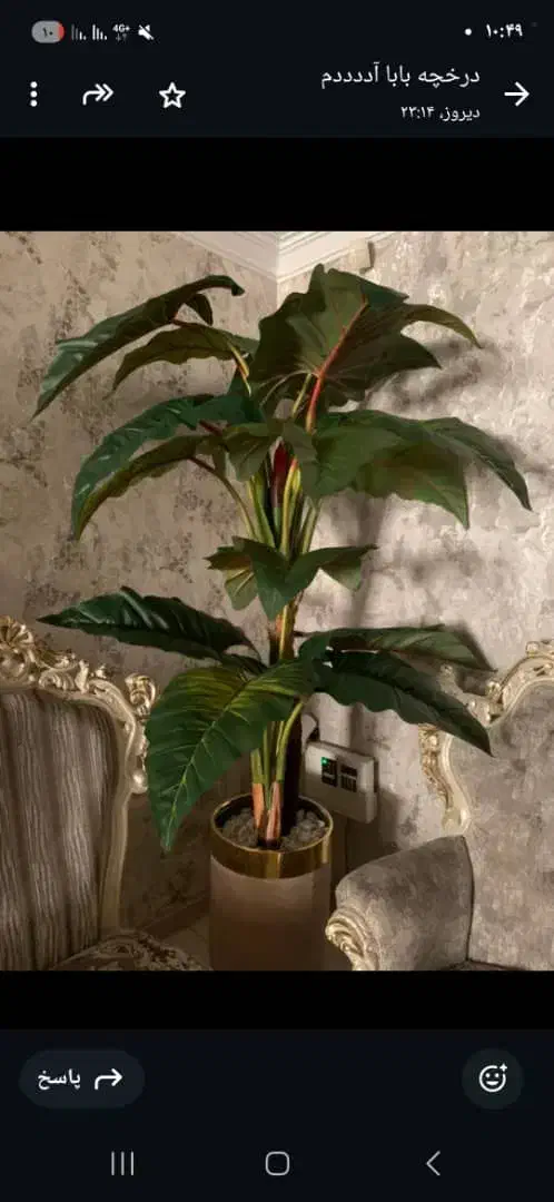 درخت چه|گل مصنوعی|تهران, مشیریه|دیوار