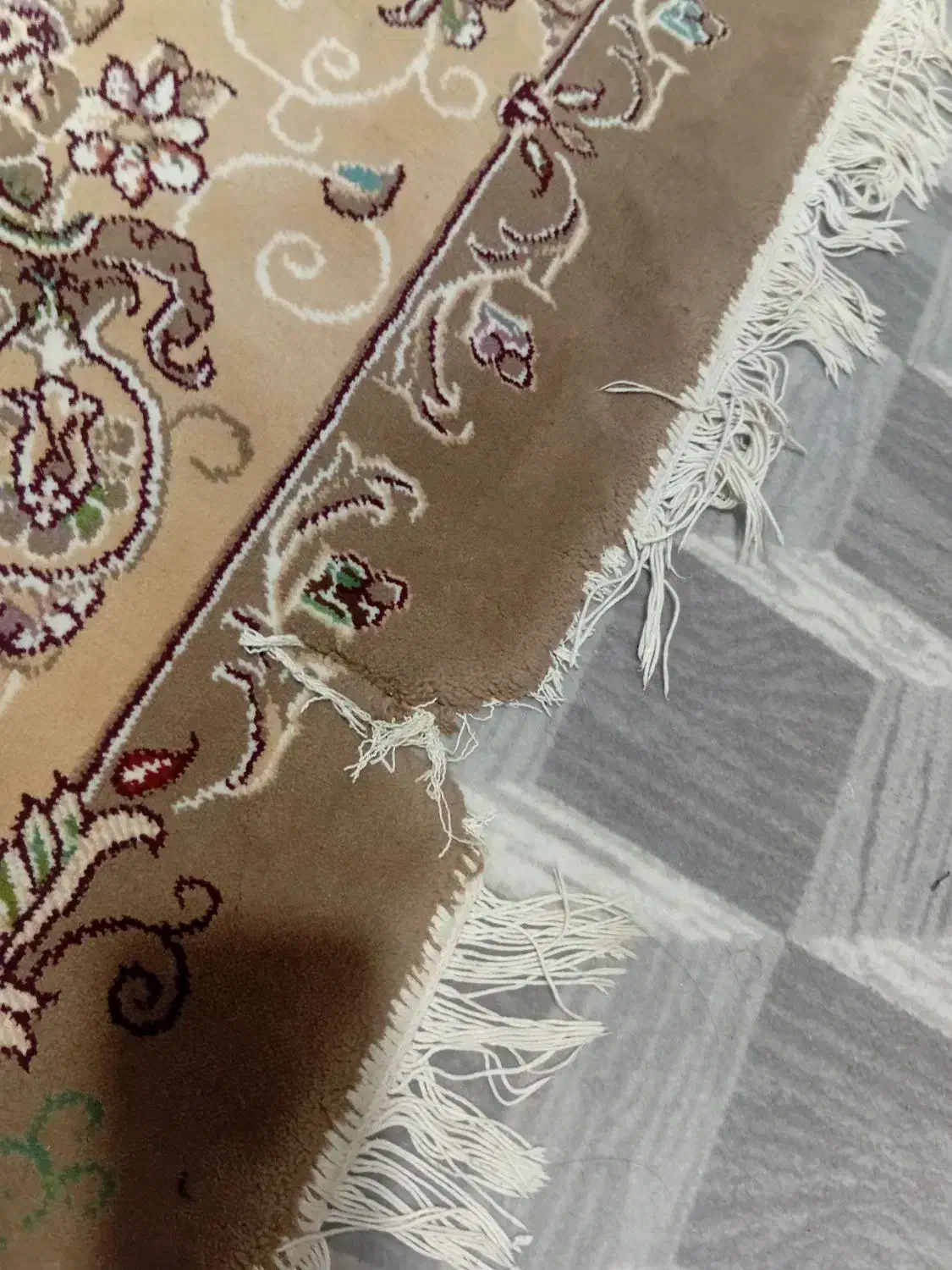 فرش۱۲متری|فرش|نگین شهر, |دیوار