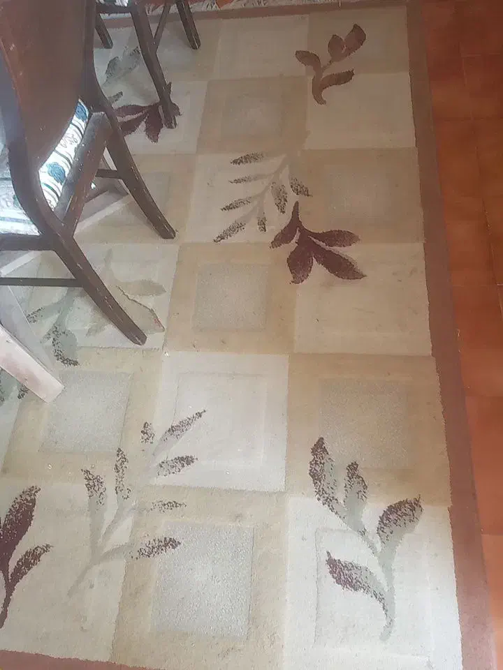 فرش ماشینی|فرش|رشت, علی آباد|دیوار