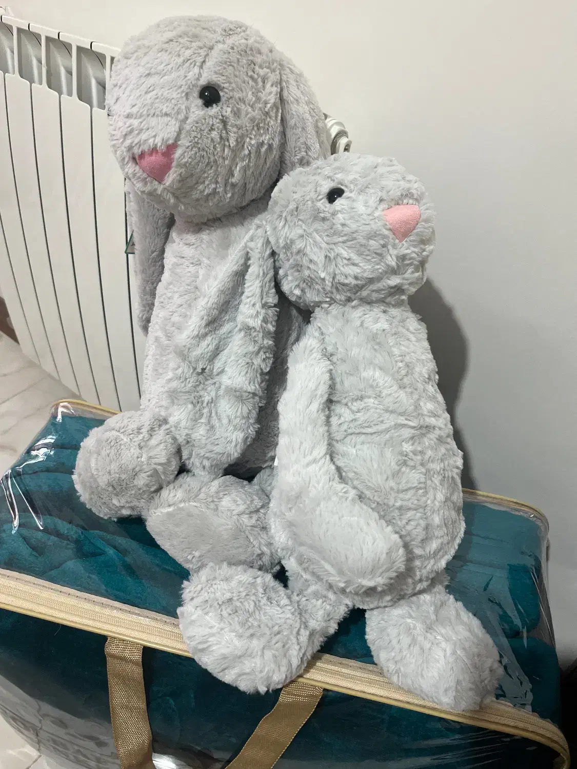 عروسک خرگوش خارجی|اسباب‌بازی بچه|قزوین, |دیوار