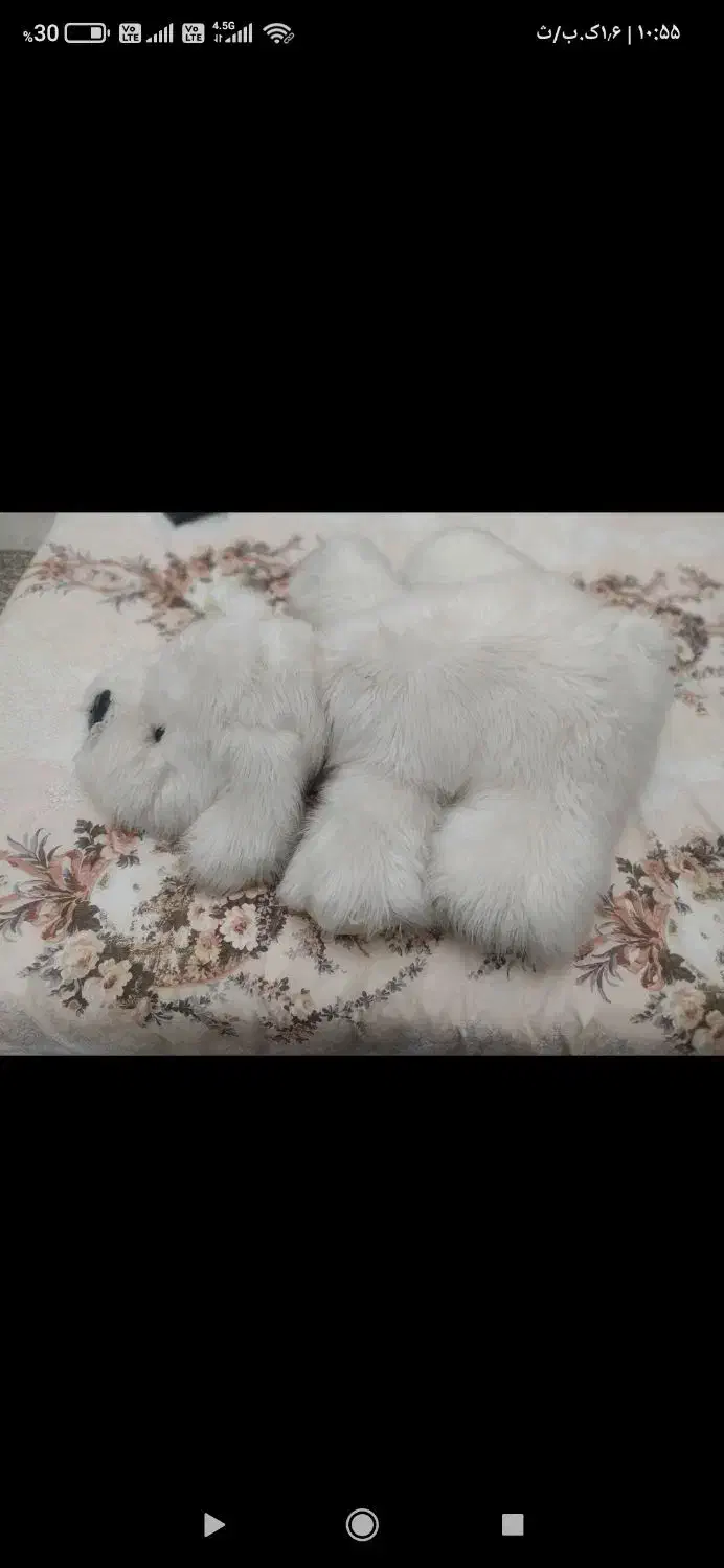 عروسک|اسباببازی|تبریز, |دیوار