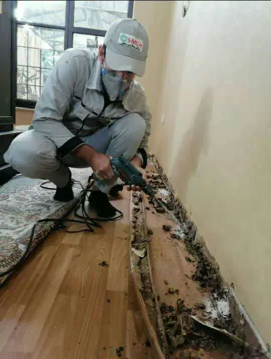 سم پاشی موریانه با قرص سم آلمانی سمپاشی ساس سوسک|خدمات نظافت|نجف‌آباد, شهدا|دیوار