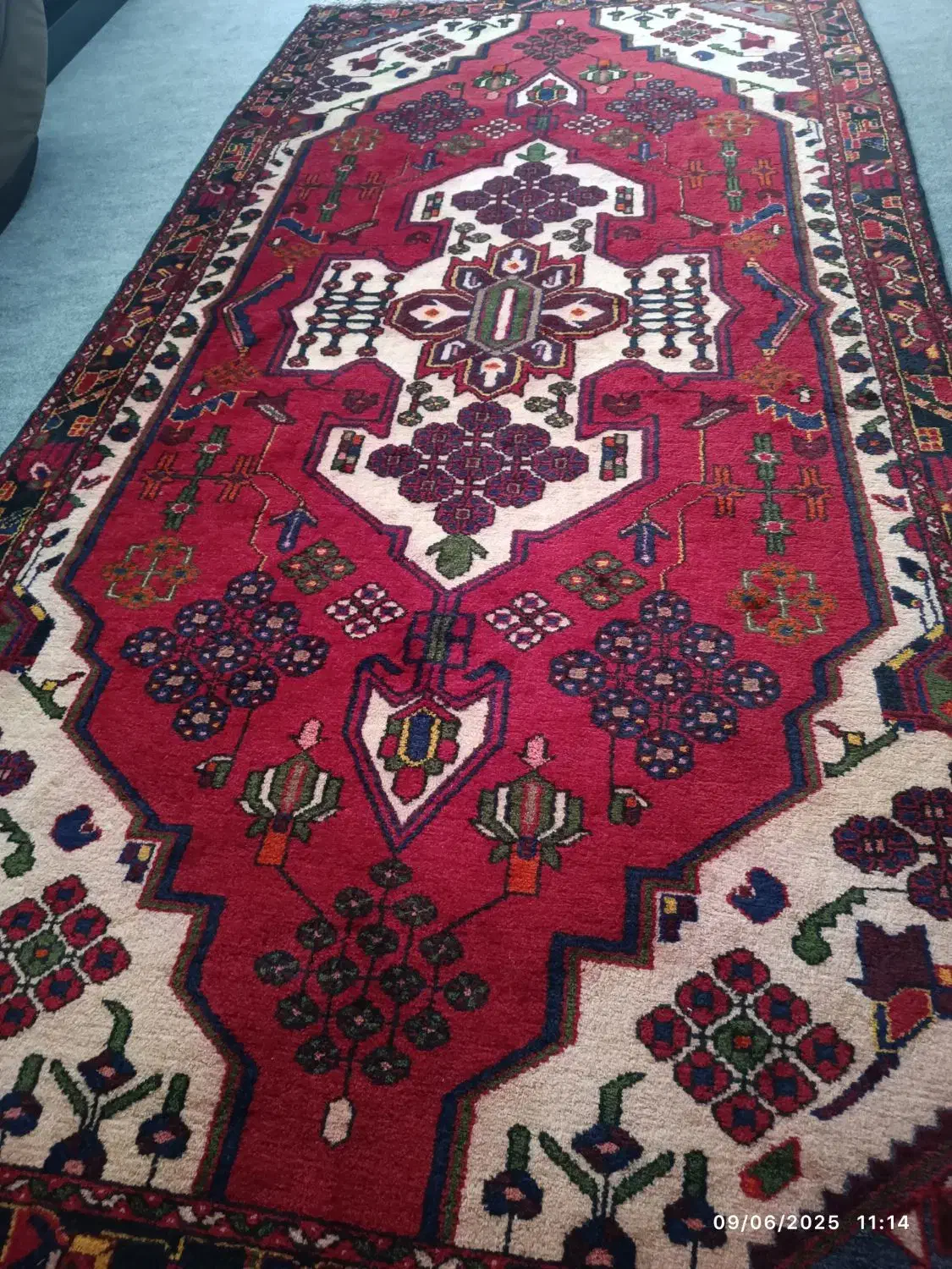 یک عدد فرش خرسک|فرش|قم, نیروگاه|دیوار