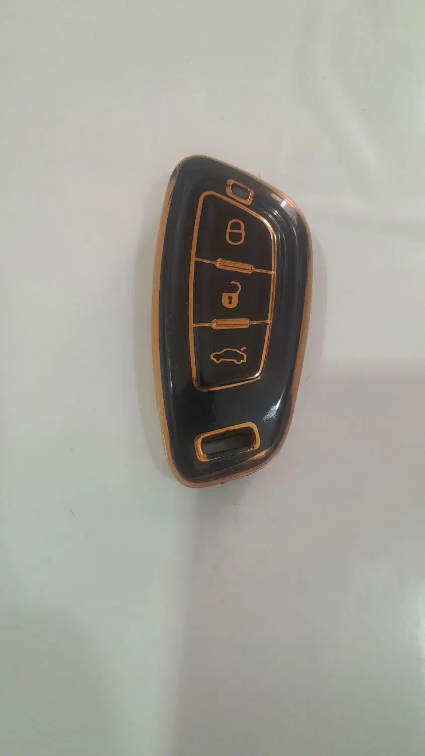 سوییچ شاهین پیداشده|اشیا|اندیکا, |دیوار