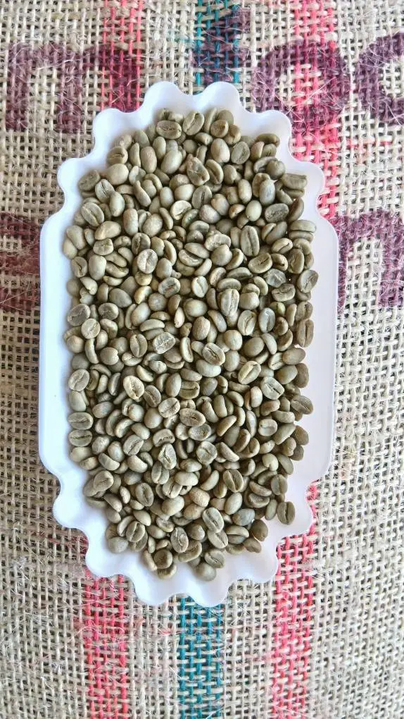 فروش دانه سبز قهوه کلمبیا سوپریمو اسکرین 18|خوردنی و آشامیدنی|تهران, خانیآباد|دیوار