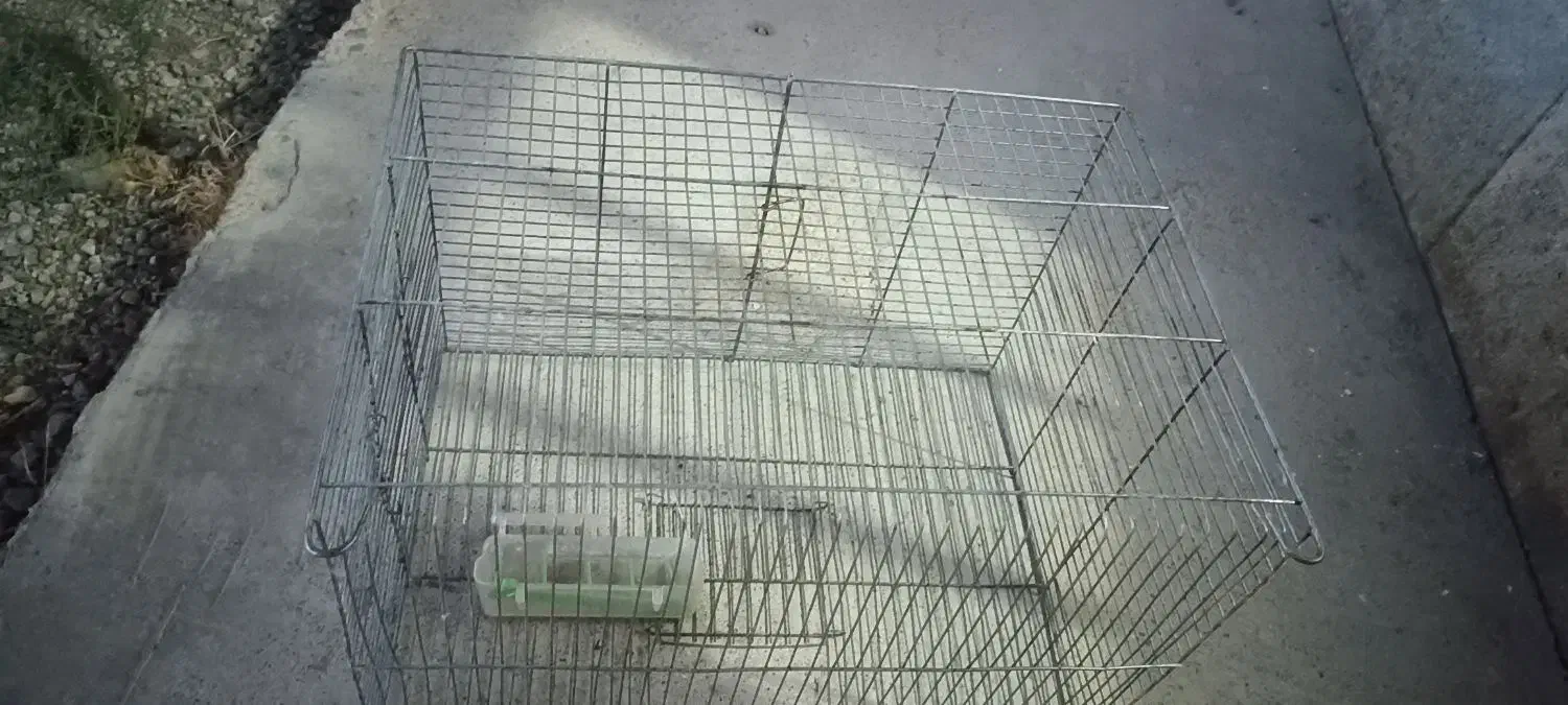 قفس پرنده قناری ومرغ عشق|لوازم جانبی حیوانات|بروجن, |دیوار