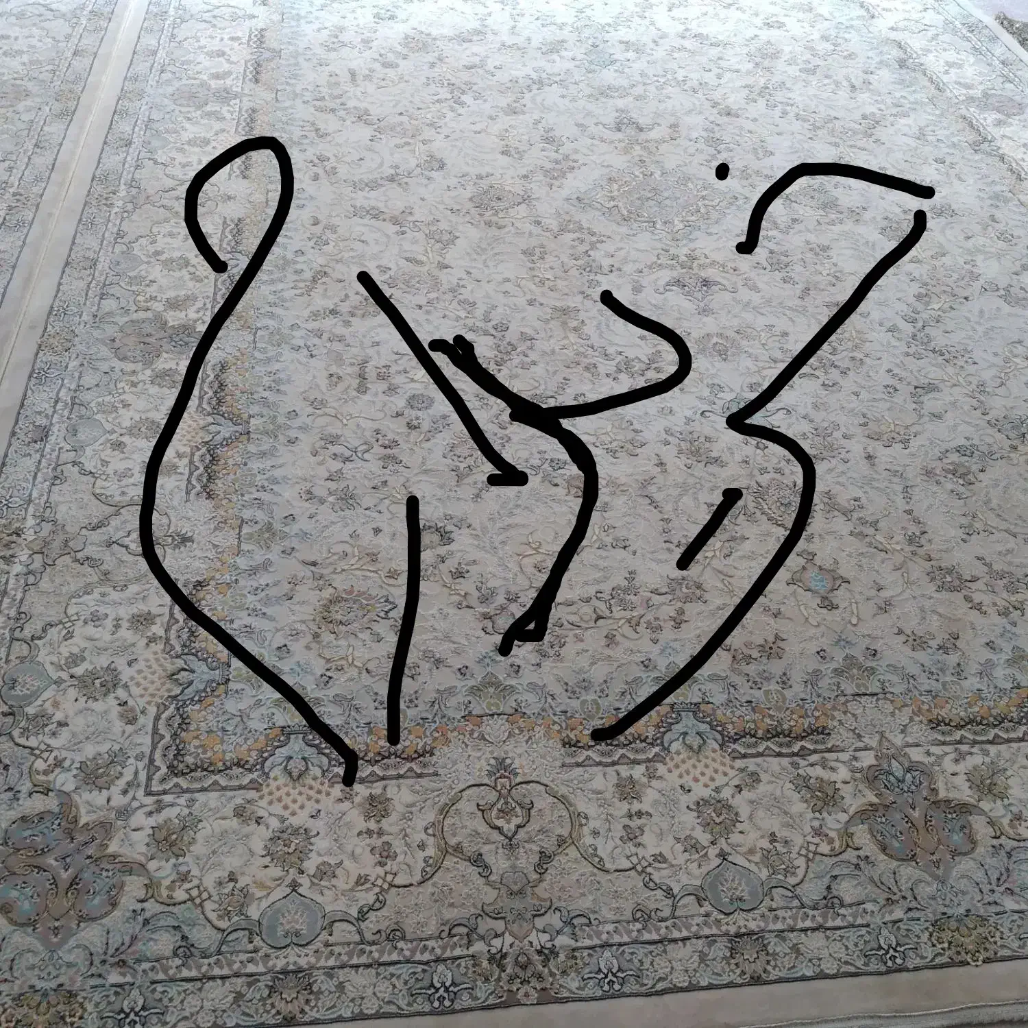 فرش نگین کشمیر|فرش|زنجان, |دیوار