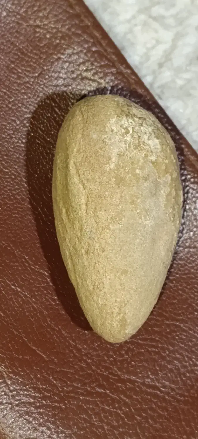 اصل آریایی|کلکسیون و سرگرمی|کرمانشاه, |دیوار