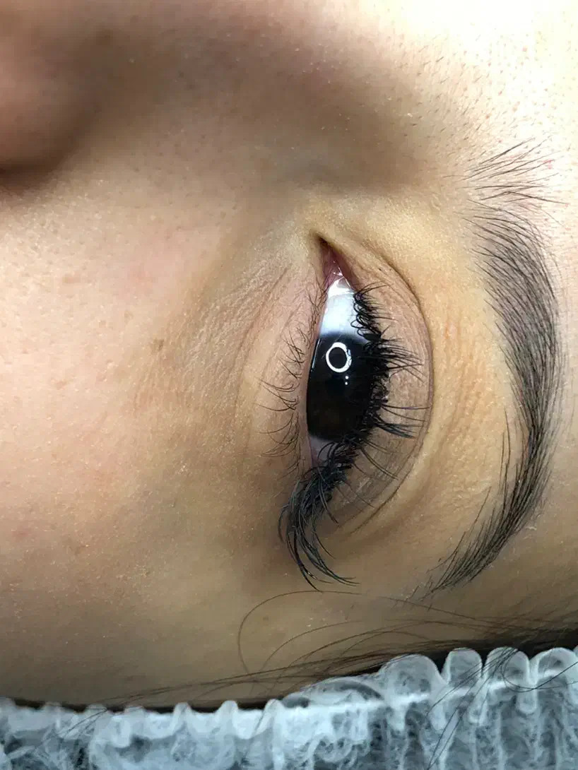 مدل اکستنشن ،لیفت مژه و ابرو|خدمات آرایشگری و زیبایی|اصفهان, وحید|دیوار