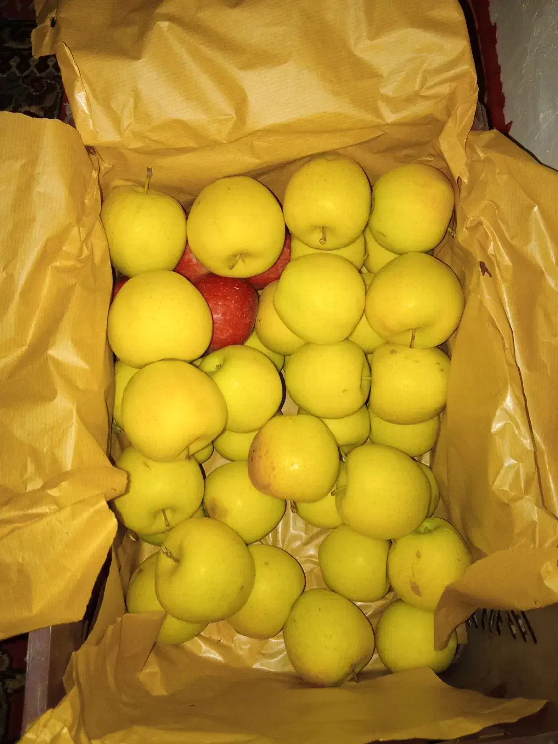 فروش سیب|عمدهفروشی|هشترود, |دیوار