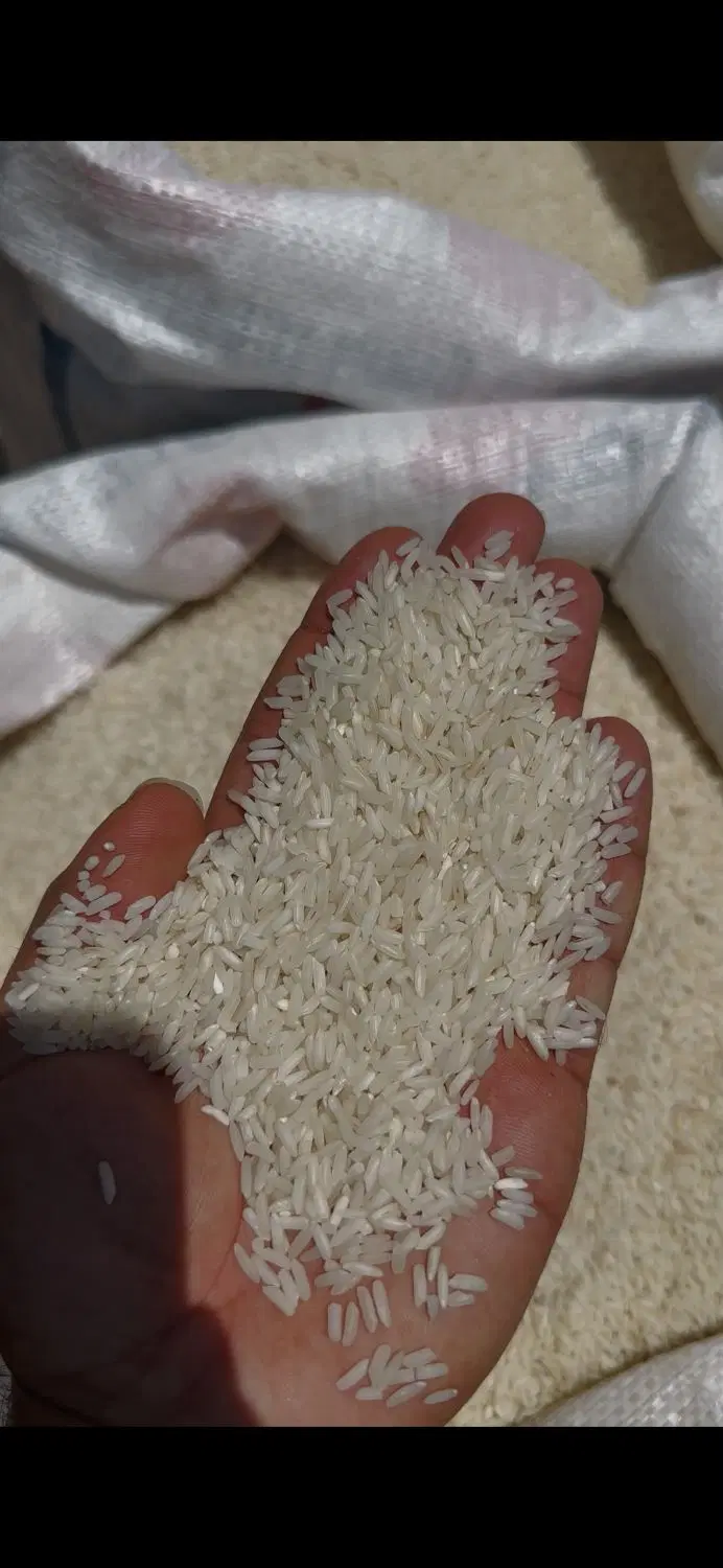 برنج|خوردنی و آشامیدنی|یاسوج, |دیوار