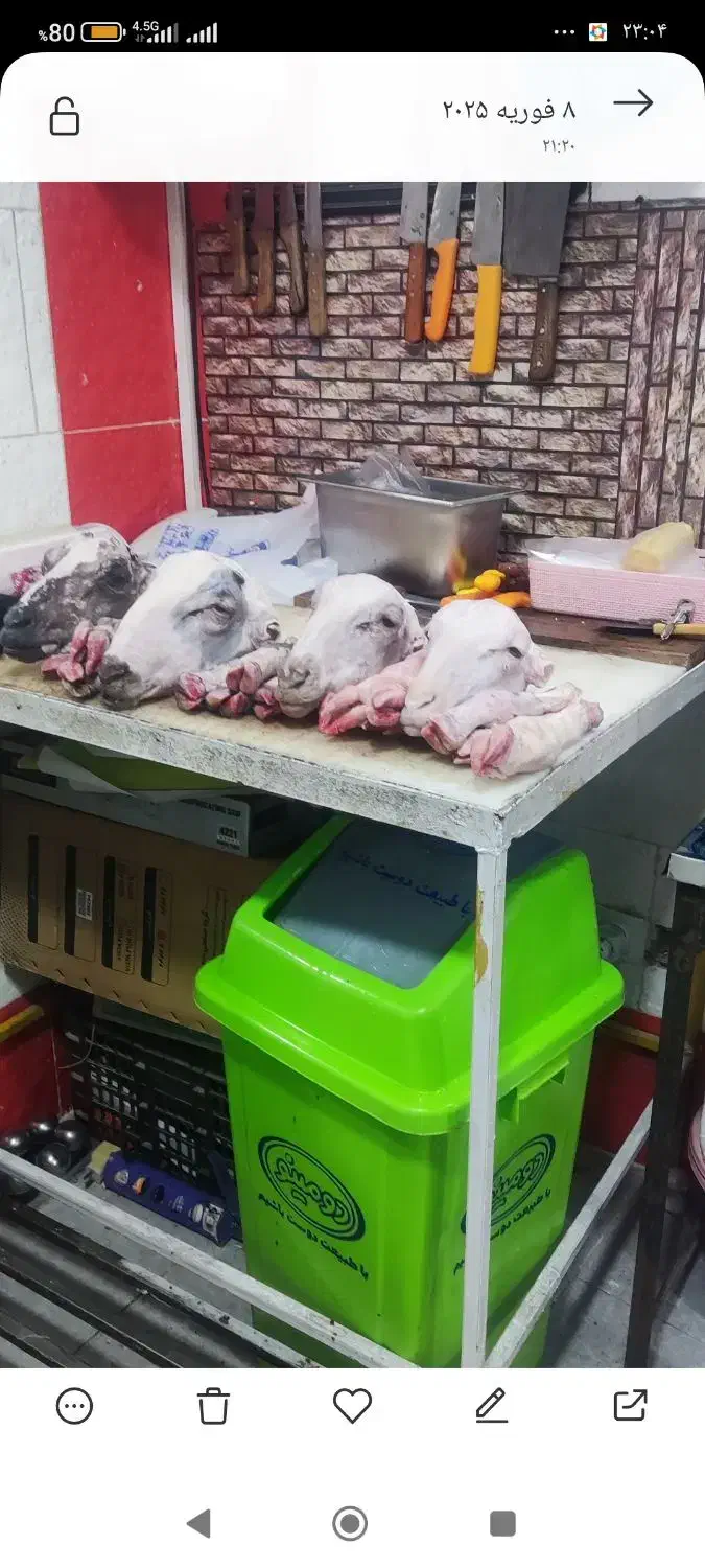 کله پاچه چربی جگر|خوردنی و آشامیدنی|بجنورد, |دیوار