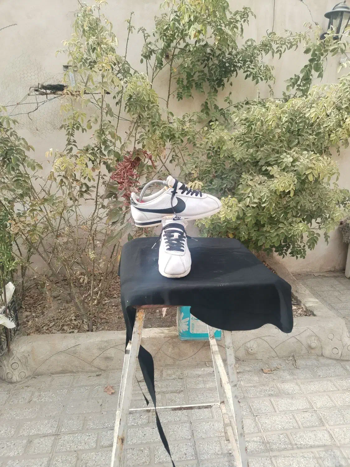 کتونی نایک|کیف، کفش، کمربند|مشهد, امیر آباد|دیوار