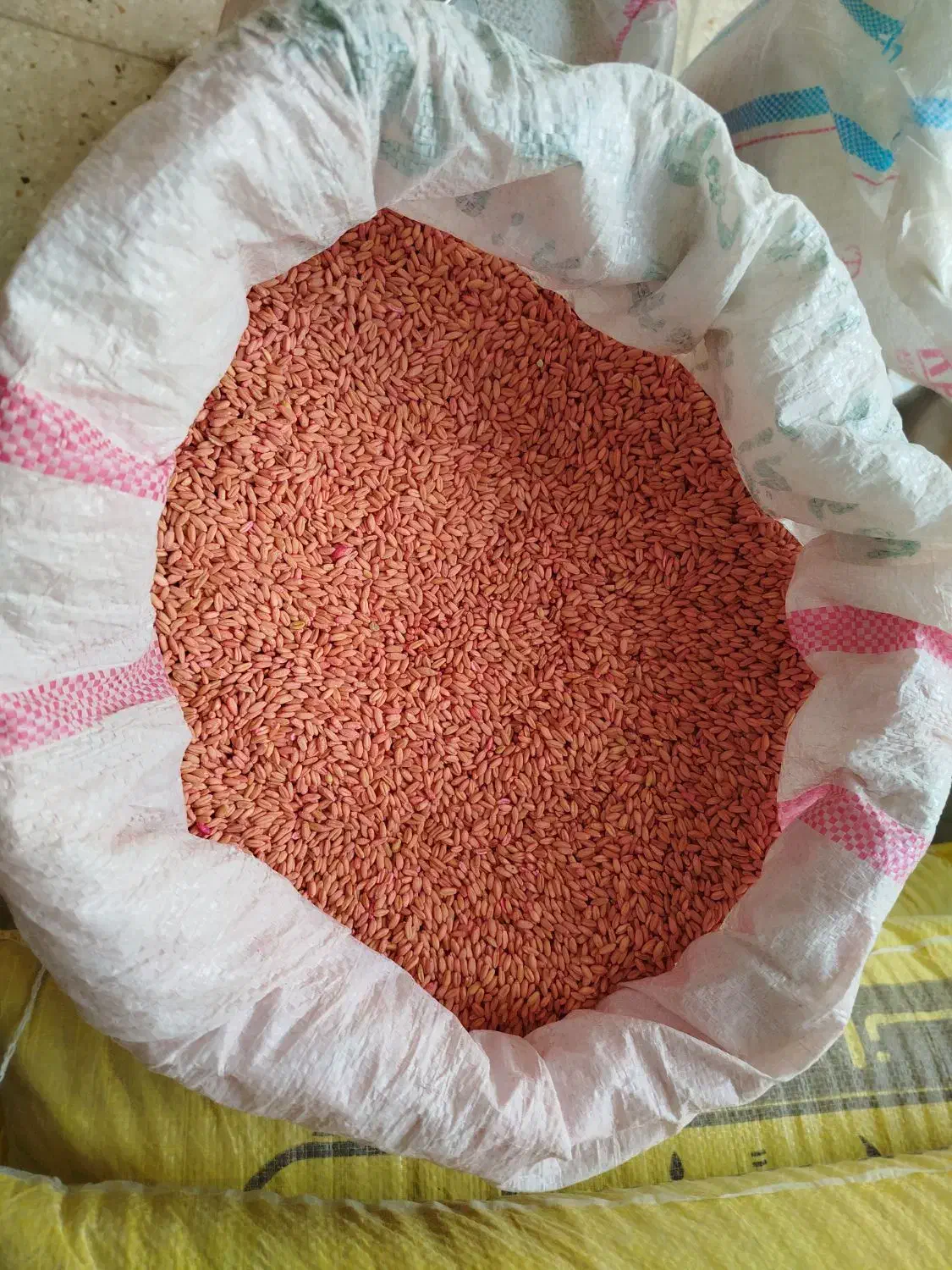 حبوبات فروشی اسدی|خوردنی و آشامیدنی|هرسین, |دیوار