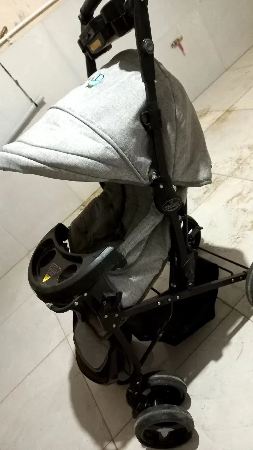 کالسکه دلیجان|کالسکه و لوازم جانبی|بیرجند, |دیوار