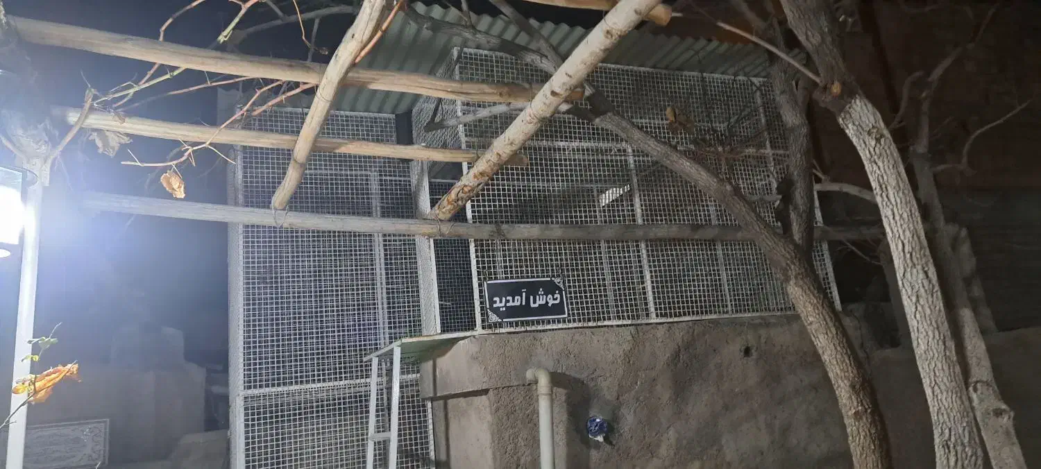 قفس|لوازم جانبی حیوانات|کرمان, |دیوار